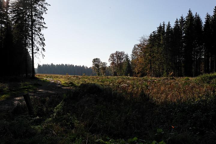 _V4Z7140.jpg